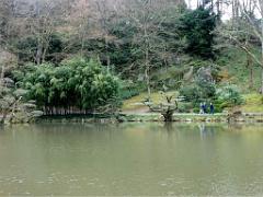 149 PARC ORIENTAL DE MAULEVIER MAINE ET LOIRE 2016 N2_000005